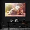 tableau bouledogue francais paysage 3 2 4.webp