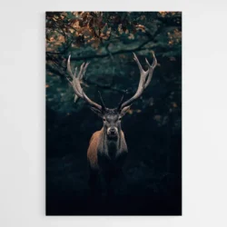 tableau cerf noir 1.webp