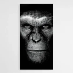 tableau cesar singe 1.webp