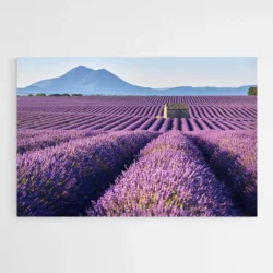 tableau champ de lavande 1.webp