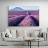 tableau champ de lavande paysage 3 2 2.webp