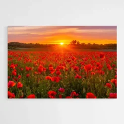 tableau champs de coquelicots 1.webp