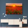 tableau champs de coquelicots paysage 3 2 3.webp