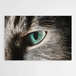 tableau chat contemporain 1.webp