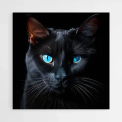 tableau chat noir yeux bleus 1.webp