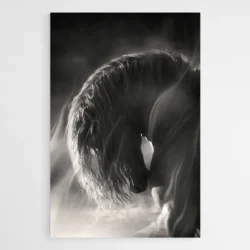 tableau cheval noir et blanc 1.webp