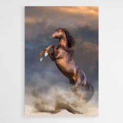 tableau cheval qui se cabre 1.webp