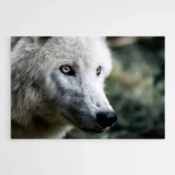 tableau chien loup 1.webp