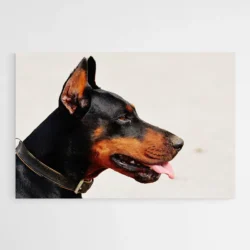 tableau doberman 1.webp