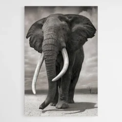 tableau elephant d afrique 1.webp