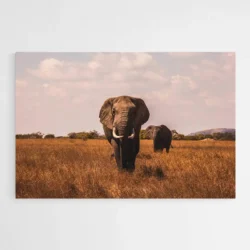 tableau elephant savane 1.webp
