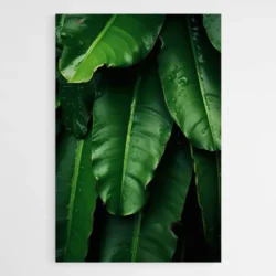 tableau feuille de bananier 1.webp