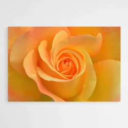 tableau fleur orange 1.webp