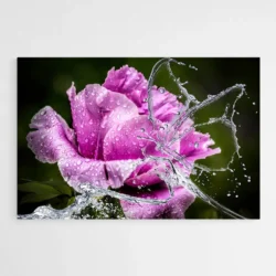 tableau fleur pivoine 1.webp