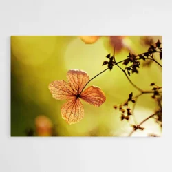 tableau fleur sechee 1.webp