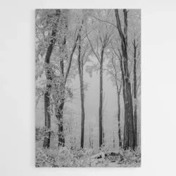 tableau foret enneigee 1.webp