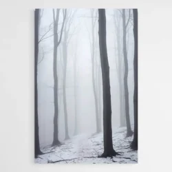 tableau foret et brume 1.webp