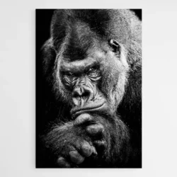 tableau gorille noir et blanc 1.webp