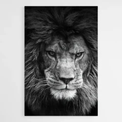tableau lion contemporain 1.webp