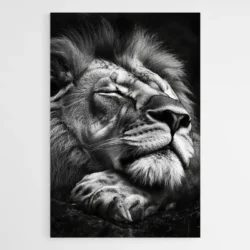 tableau lion qui dors 1.webp