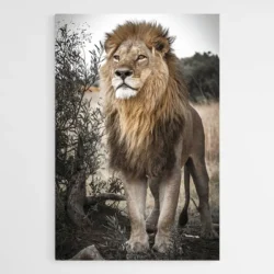 tableau lion sauvage 1.webp