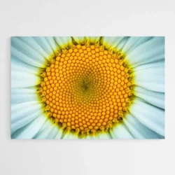 tableau marguerite 1.webp