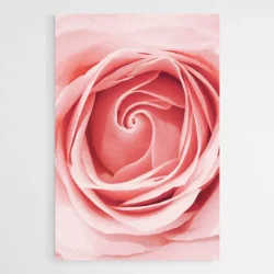 tableau moderne fleur 1.webp