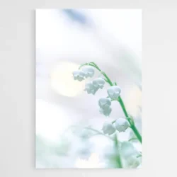 tableau muguet 1.webp