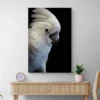 tableau perroquet blanc portrait 2 3 4.webp