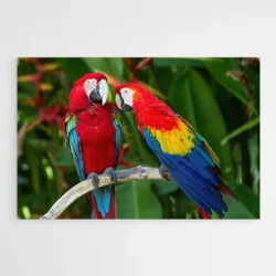 tableau perroquet sur branche 1.webp