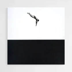 tableau plongeon 1.webp