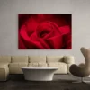 tableau rose rouge paysage 3 2 2.webp