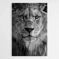 tableau tete de lion noir et blanc 1.webp