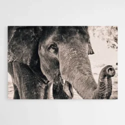 tableau tete elephant 1.webp