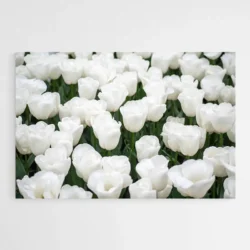 tableau tulipes blanches 1.webp