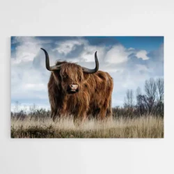 tableau vache highland 1.webp