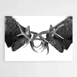 tableau wapitis 1.webp