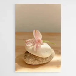 tableau zen orchidee 1.webp