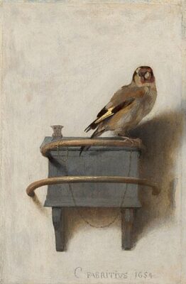 Fabritius vink