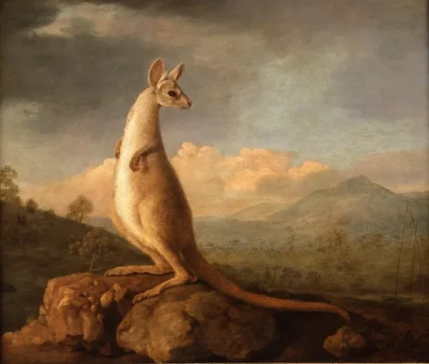 george stubb kangourou